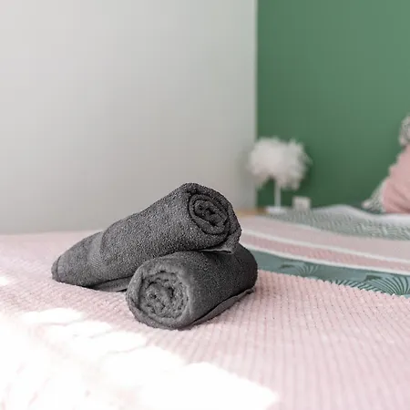 Appartement Centre -cosy 2 Pièces-clim-af Carcassonne