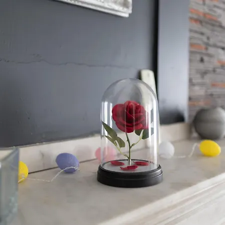 Centre -cosy 2 Pièces-clim-af Appartement *