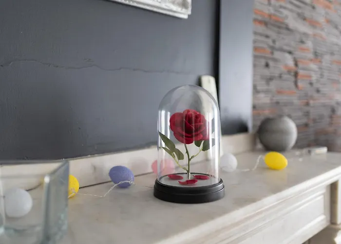 Centre -cosy 2 Pieces-clim-af Apartment *